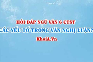 Các yếu tố cơ bản trong văn bản nghị luận là gì? Ngữ văn lớp 6 CTST